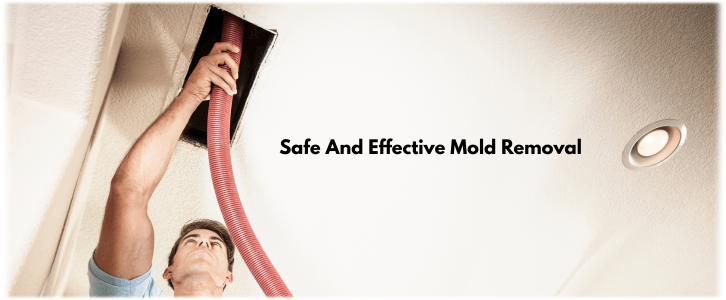 Air Duct Mold Removal in Lake Zurich IL
