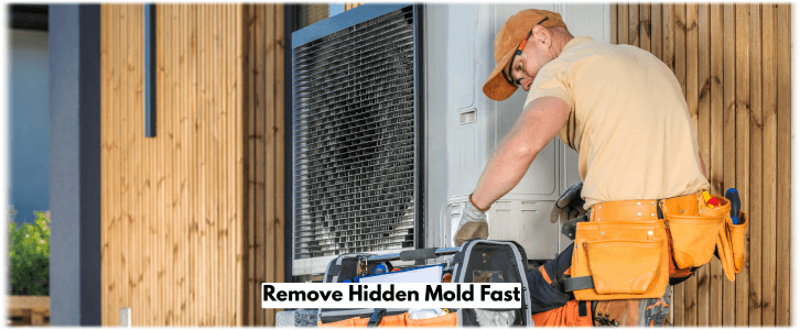 HVAC Mold Removal Lake Zurich IL